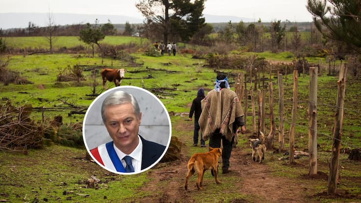Presidente Kast propone flexibilizar uso de tierras indígenas en Cuenta Pública: podrán arrendarse e hipotecarse