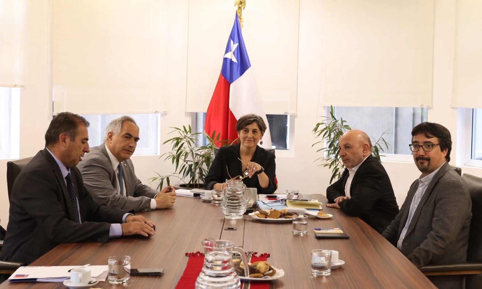 Cedida | Ministra de Salud, Ximena Aguilera, con comisión de Salud del Senado