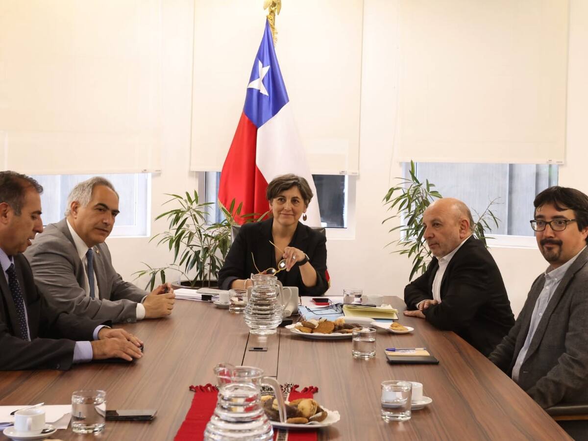 Comisión de Salud del Senado tras reunión con ministra Aguilera sobre ley corta de Isapres: “Se requiere un compromiso político del gobierno”