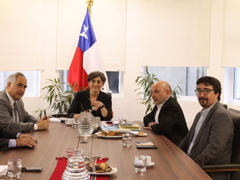 Cedida | Ministra de Salud, Ximena Aguilera, con comisión de Salud del Senado