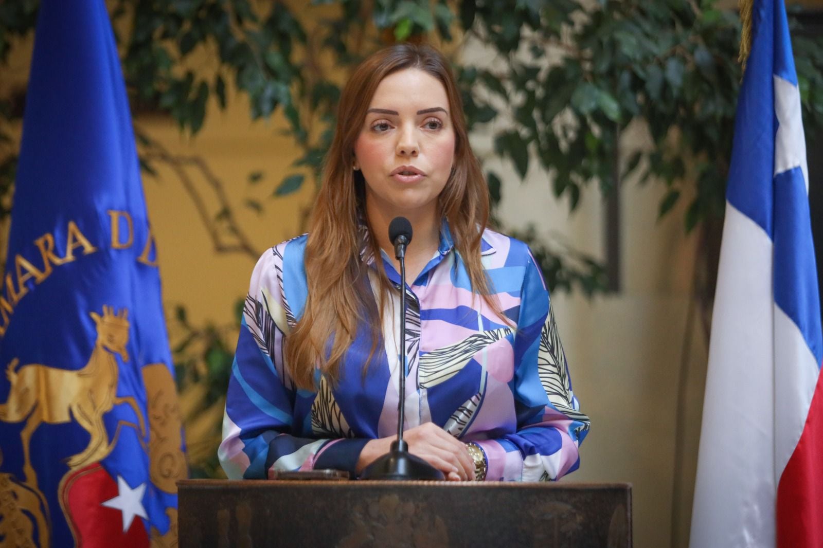Cedida | Diputada Camila Flores