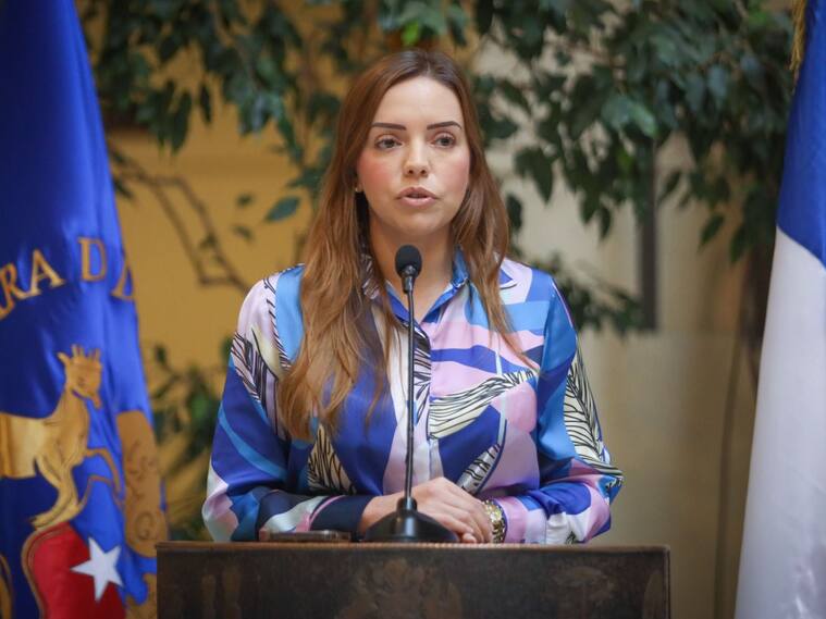 Cedida | Diputada Camila Flores