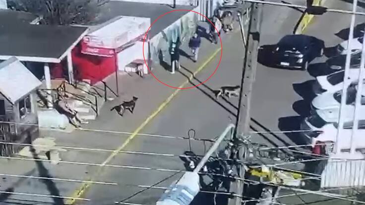 encuentran a lactante de 21 días sustraída desde hospital de Coronel