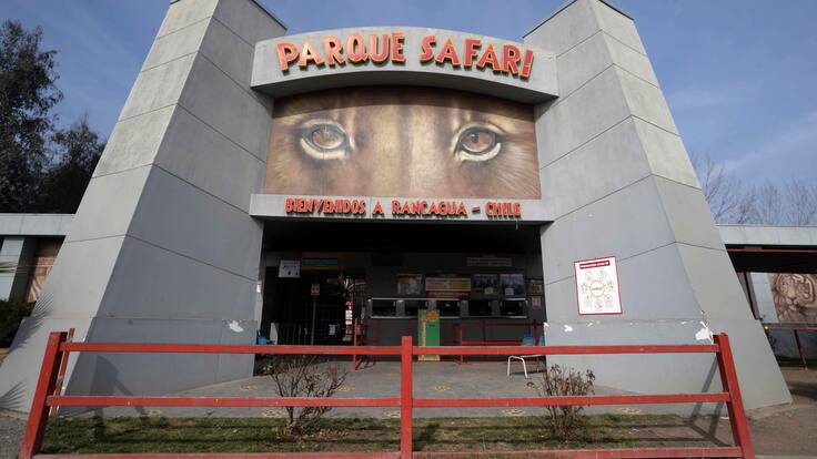 Condenan a responsables por muerte de trabajadora atacada por un tigre en el Parque Safari de Rancagua