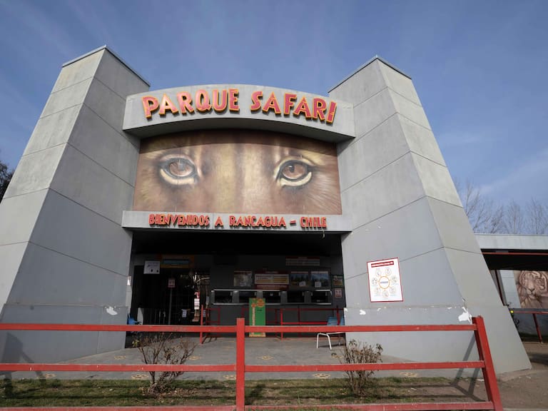 Condenan a responsables por muerte de trabajadora atacada por un tigre en el Parque Safari de Rancagua