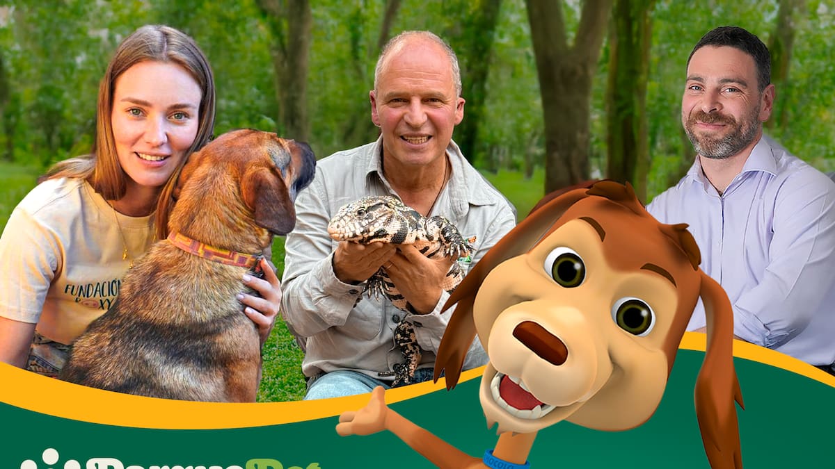 Parquepet 2025: Yoga con perros, adopciones solidarias y shows familiares en Parque Padre Hurtado