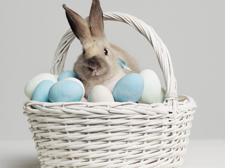 Semana Santa 2023: ¿qué días son feriados?