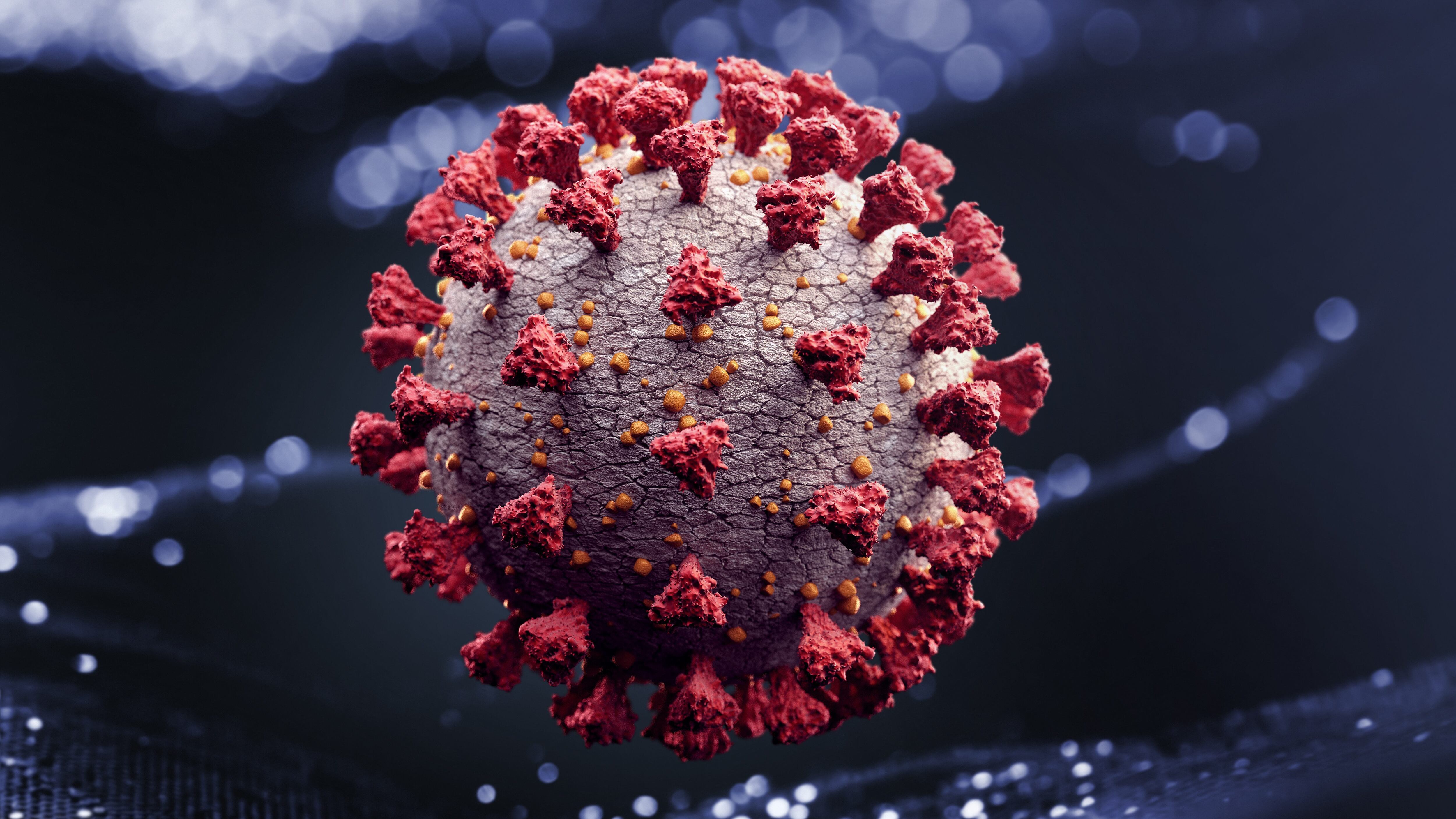 Coronavirus