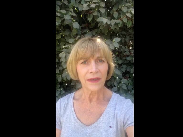 «La ley salió harto mala»: Alcaldesa Matthei criticó proyecto que posterga el vencimiento del permiso de circulación