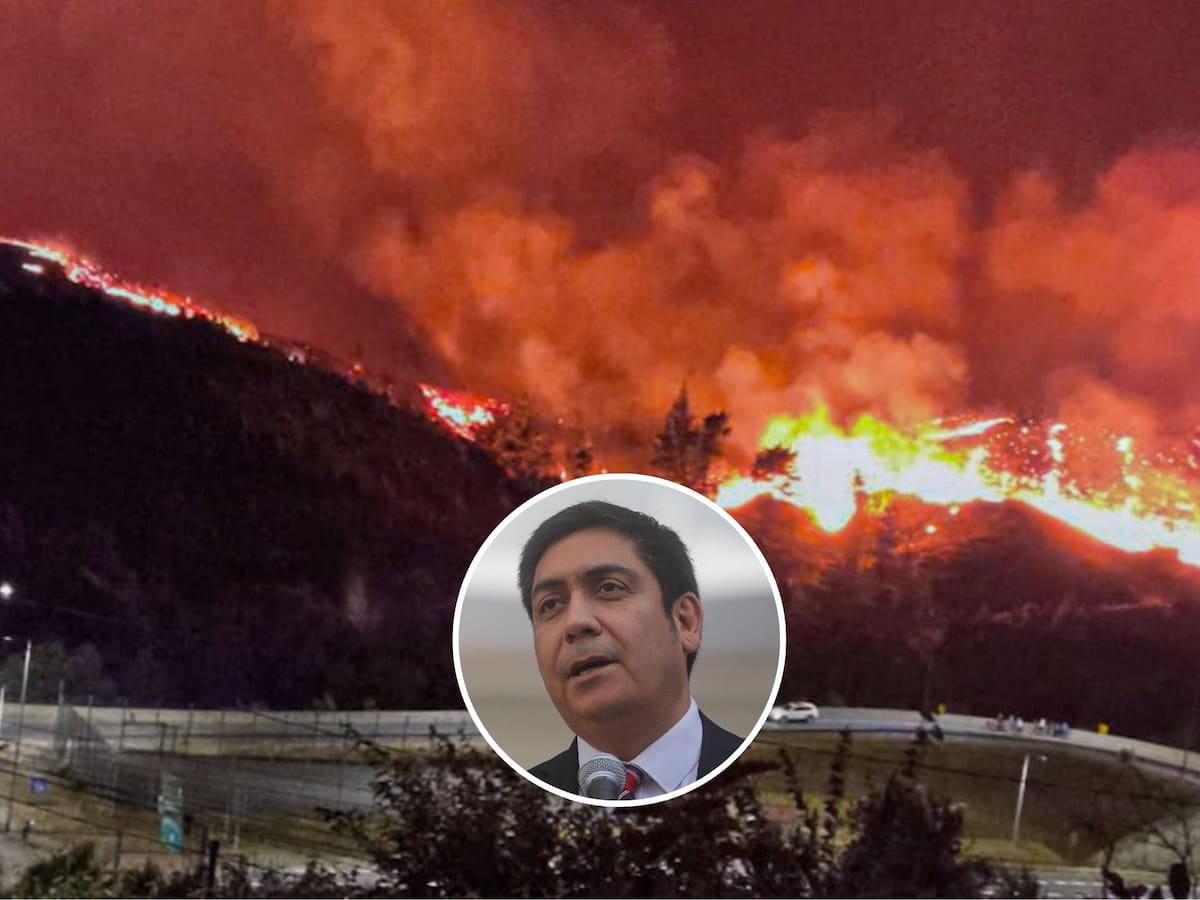Gobierno sale al paso de las críticas por incendios forestales: “Desde el primer minuto estuvimos todos involucrados”
