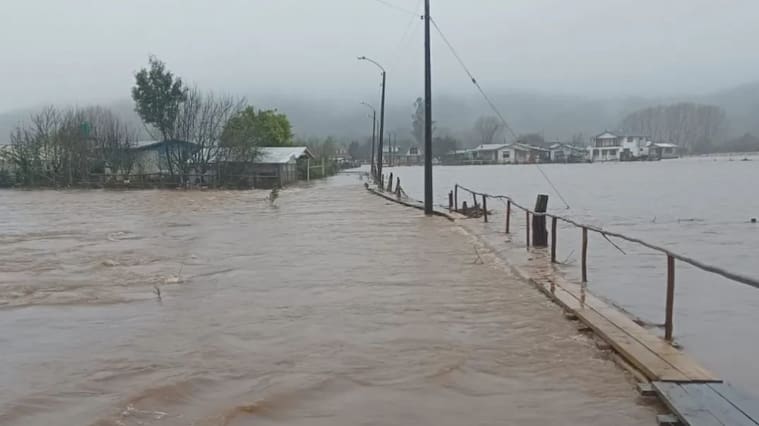Diario Concepción