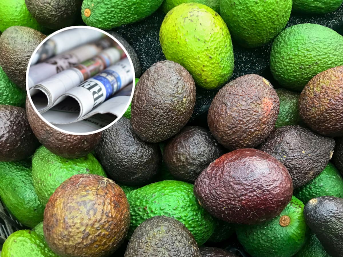 ¿Realmente sirve envolver las paltas en diario para que maduren más rápido?