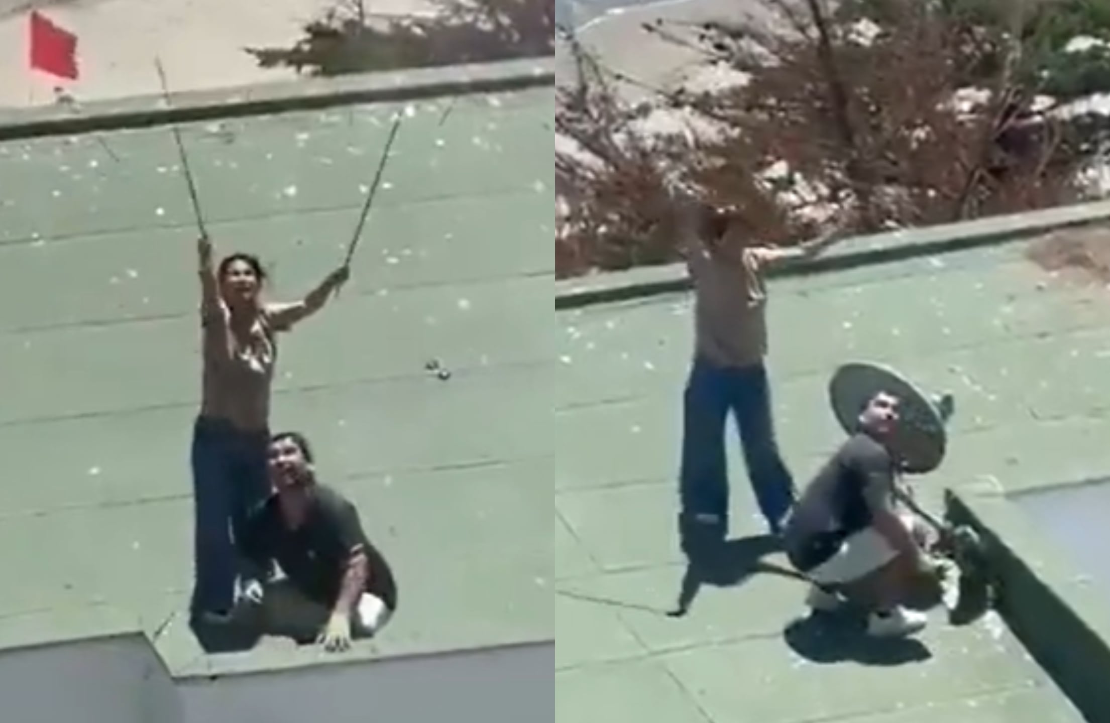 Capturas