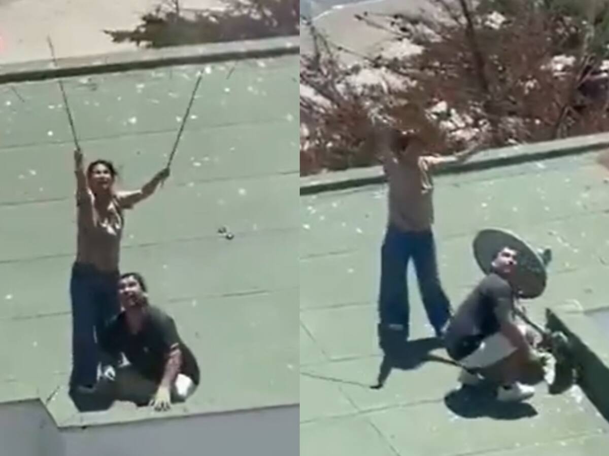 Tras ser detenidos por Carabineros: pareja acusada de lanzar polluelos de gaviotas en Maitencillo queda en libertad