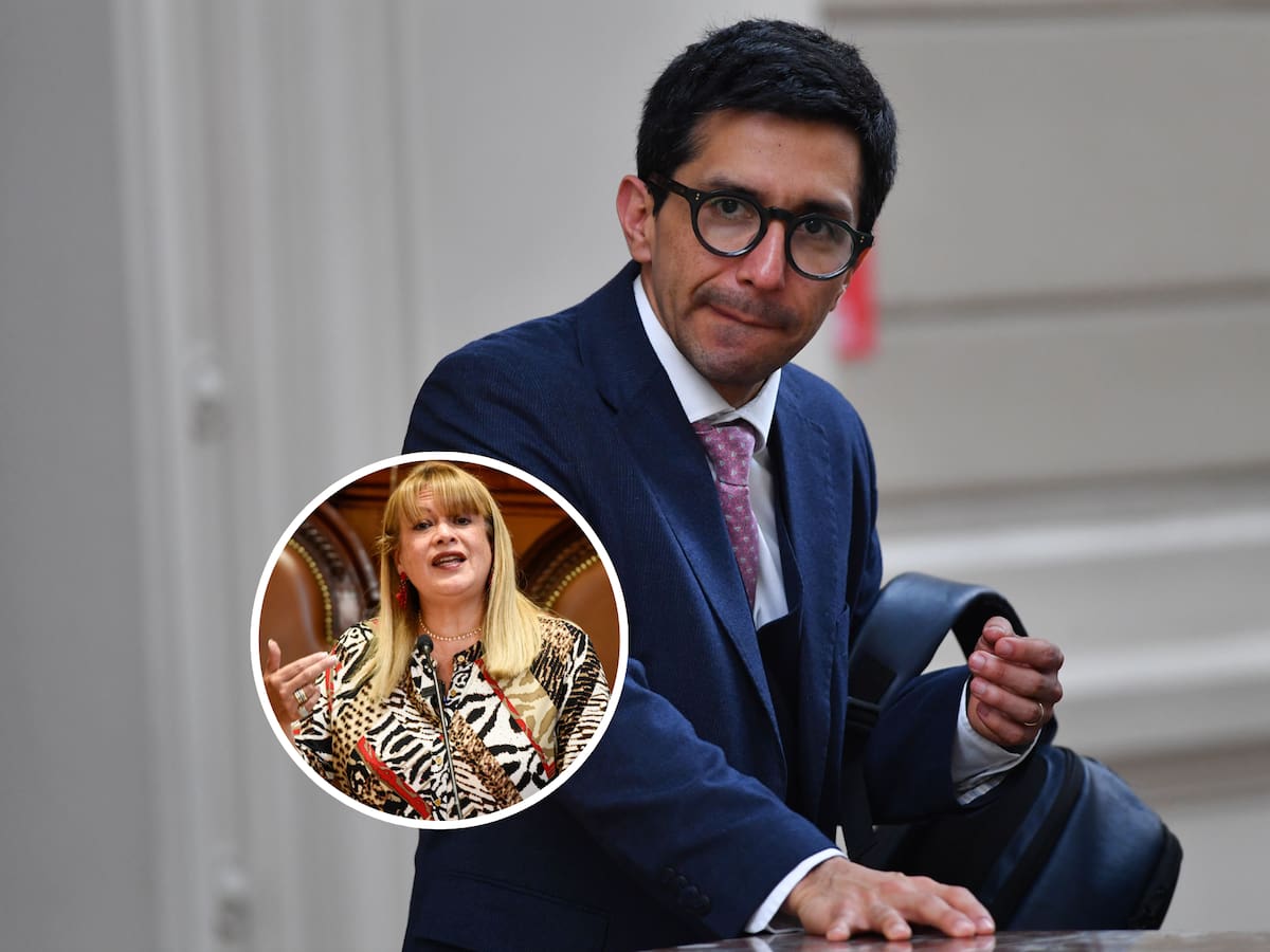 Defensa de Vivanco tras su remoción como ministra de la Corte Suprema: “Estamos sorprendidos”