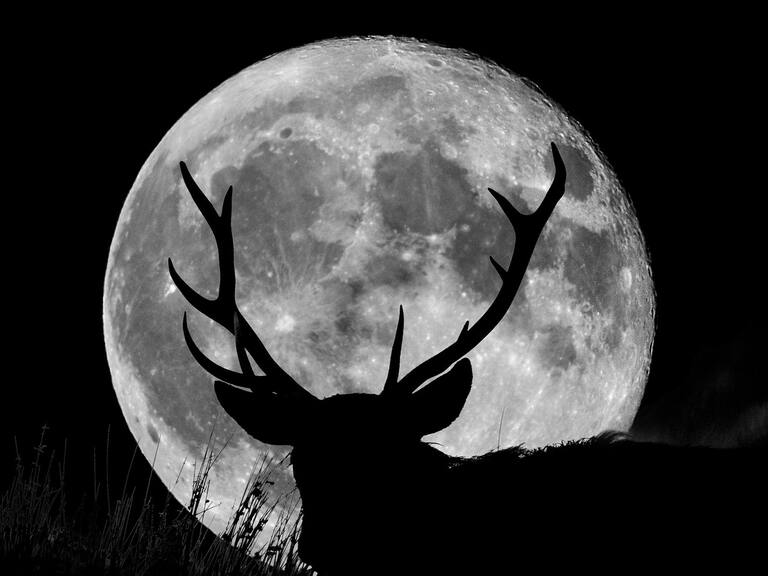 A full supermoon with the silhouette of a wild stag on a hill at night.English Peak District