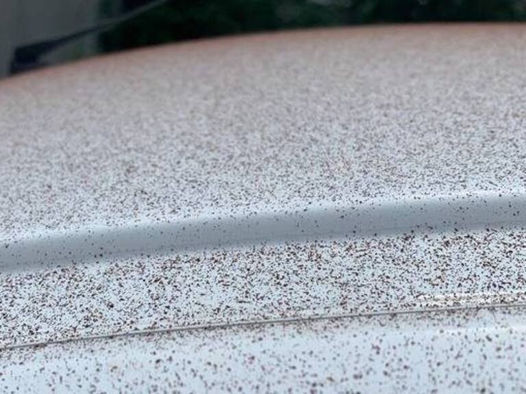 Suiza: falla en fábrica de chocolate provocó lluvia de cacao