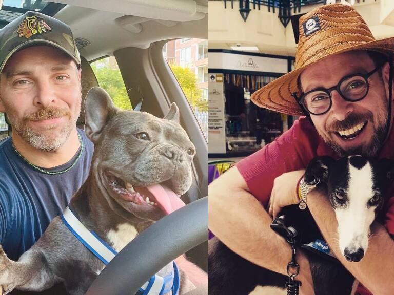 Neme sobre robo de chihuahua en La Reina: «Para quitarme un perro, me tienen que matar»