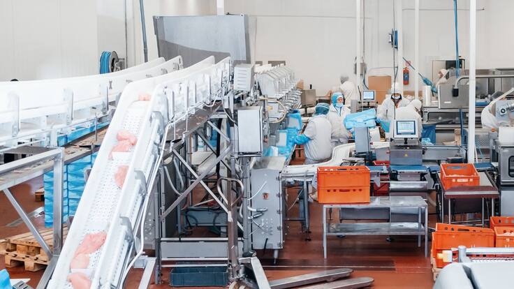 Histórica empresa chilena que anunció su cierre revierte la medida: 3.000 trabajadores se salvan del desempleo