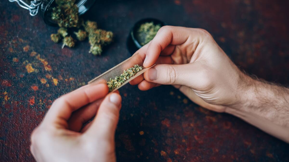 Similar a los grados del alcohol: esta es la “unidad estándar” creada para medir la potencia del cannabis