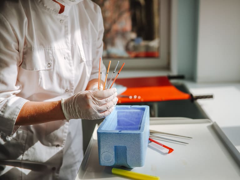 Cada vez más chilenas congelan sus óvulos para postergar la maternidad: ¿Cuál es el valor?