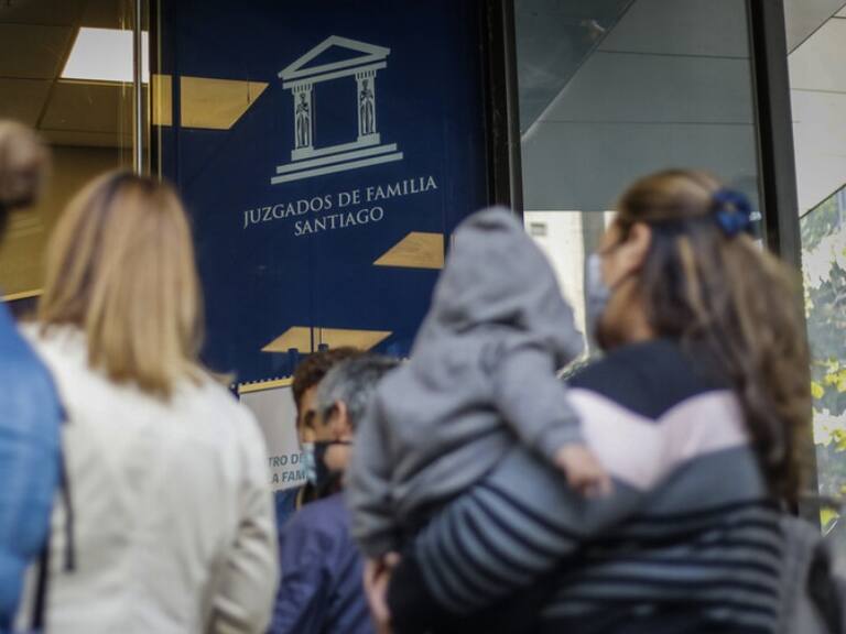 Registro de deudores de alimentos: abogada reconoce que tribunales están «colapsados», pero asegura que sistema «está funcionando»