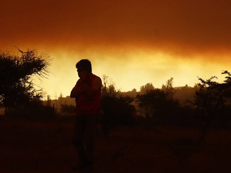 Fotogalería: Así se enfrenta el gran incendio forestal que afecta a Valparaíso y Quilpué