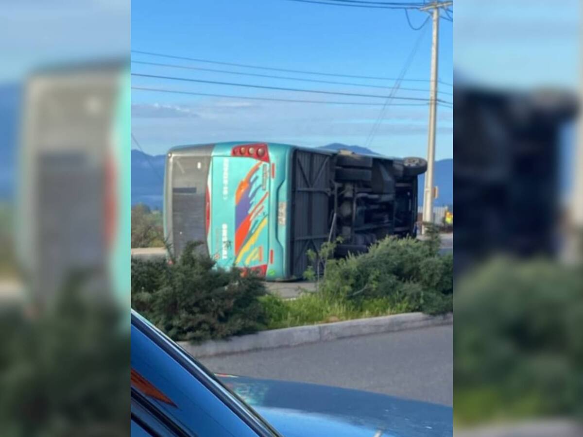 Chofer de bus que se volcó en Ovalle conducía bajo los efectos de la cocaína