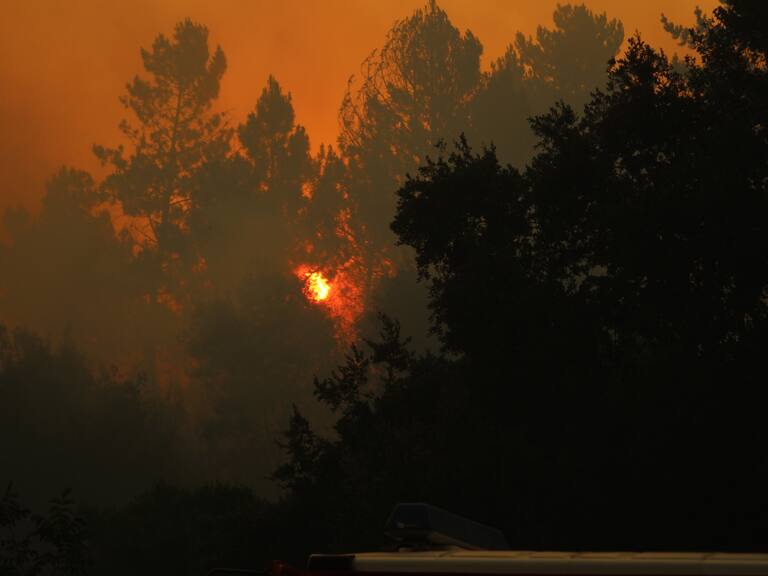 Ministra de Agricultura: «Los incendios forestales muestran que la cultura del fuego debe cambiar en Chile»