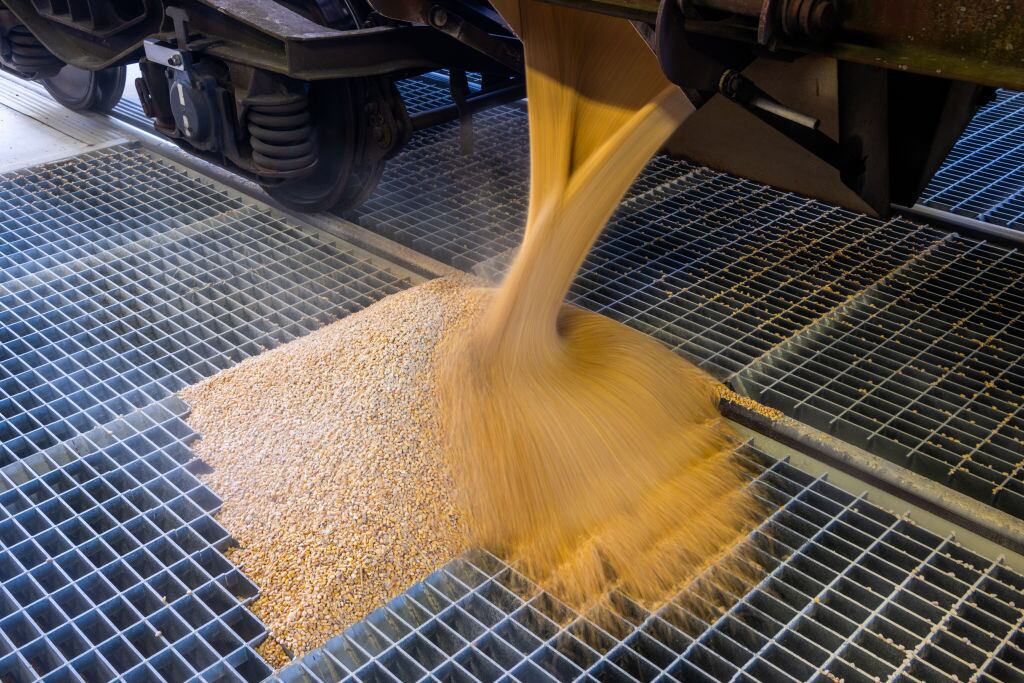 Un tren descarga cereal proveniente de Ucrania en un terminal de Alemania