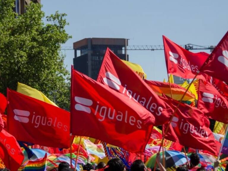 «Da espacio a la discriminación arbitraria»: Fundación Iguales llama a rechazar la propuesta de nueva Constitución
