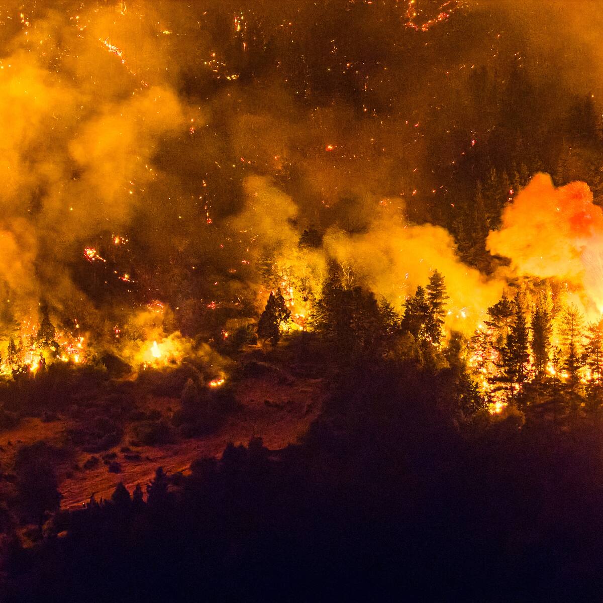 Chile ofrece ayuda a Argentina por incendios en la Patagonia: “Solidaridad entre países hermanos y el trabajo conjunto”