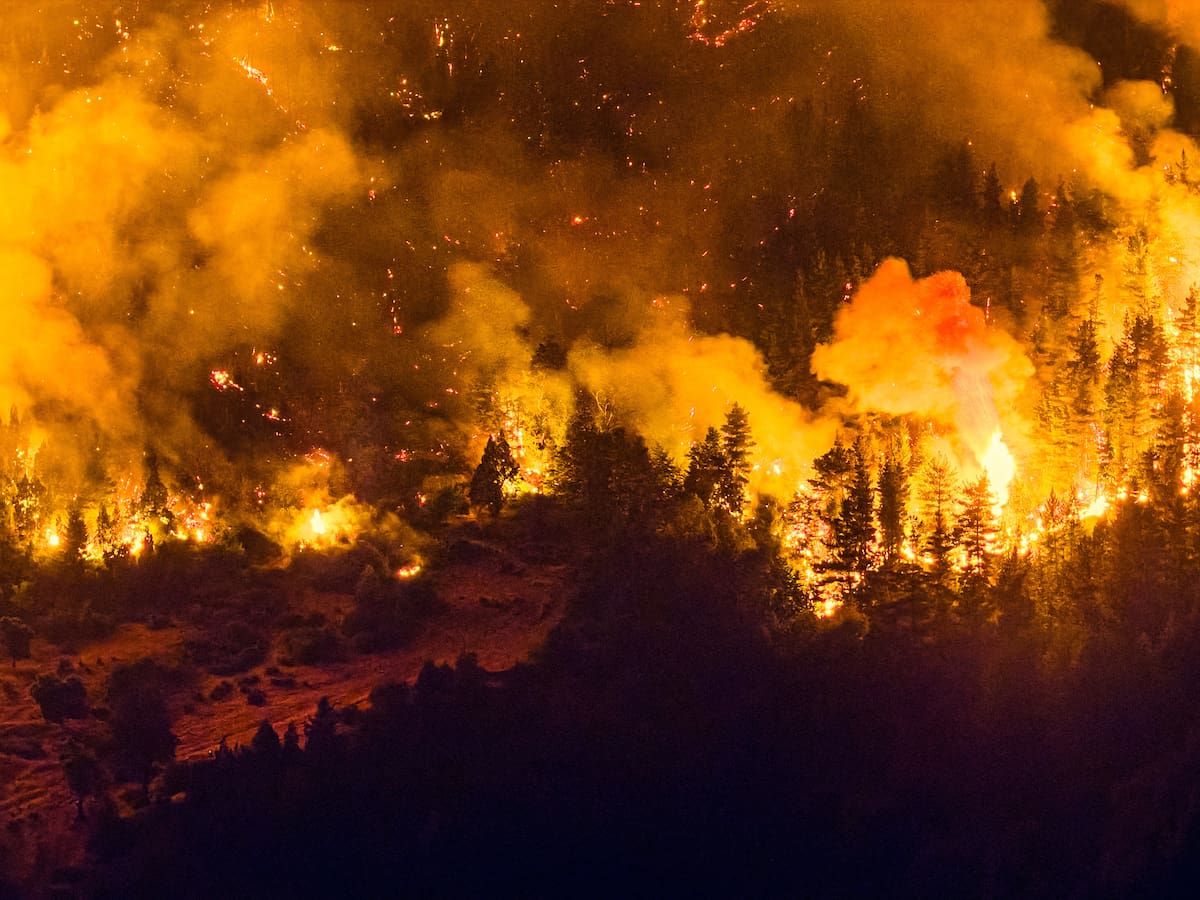 Chile ofrece ayuda a Argentina por incendios en la Patagonia: “Solidaridad entre países hermanos y el trabajo conjunto”