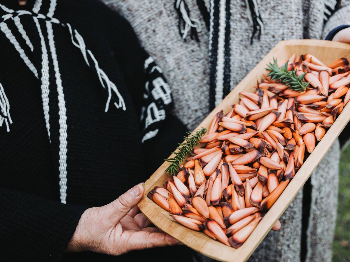 Del topinambur a la murtilla: 5 ingredientes chilenos que renacen para este 18