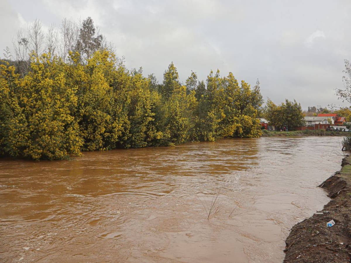 Declaran Alerta Roja en Molina por desborde de río: caudal alcanzó umbral crítico