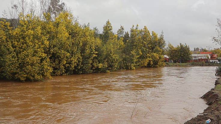 Declaran Alerta Roja en Molina por desborde de río: caudal alcanzó umbral crítico