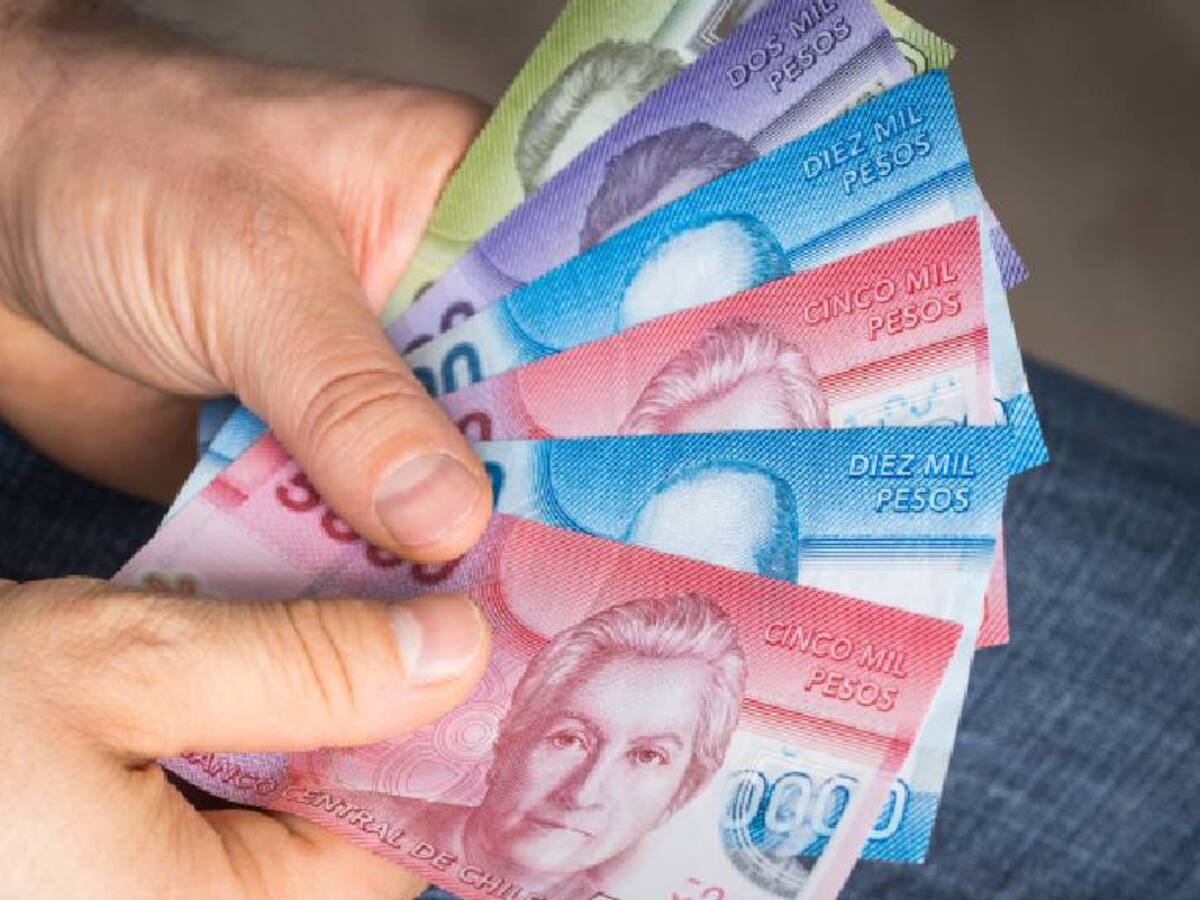Conoce los bonos y beneficios de la Red de Protección Social