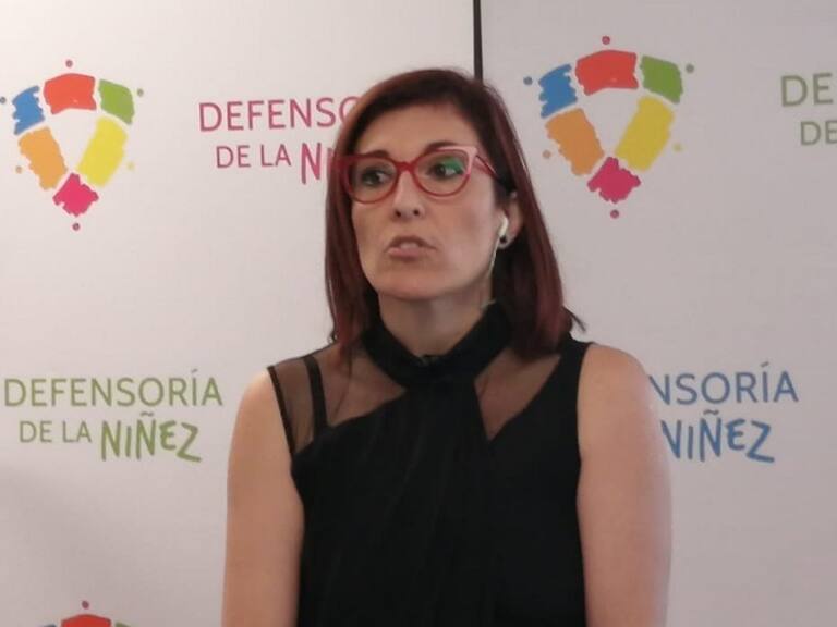 Defensoría de la Niñez presentó un recurso de protección por convenio Sename-ANI