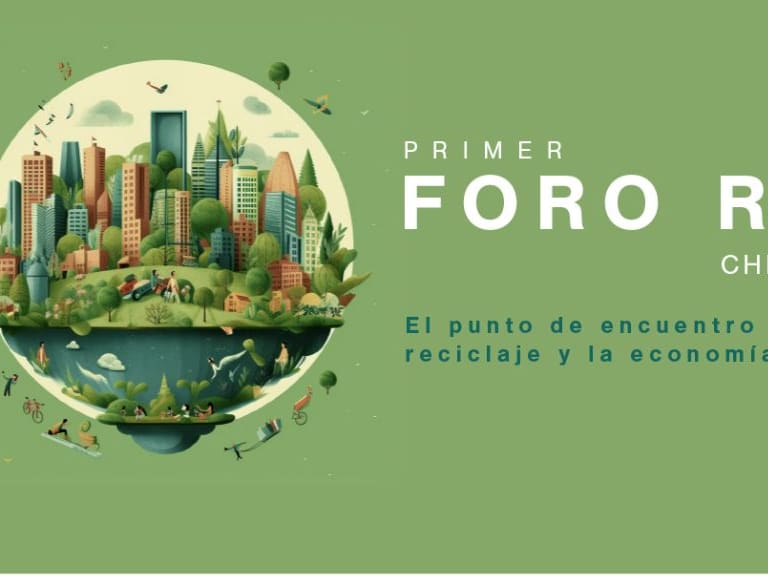 ley rep - primer foro