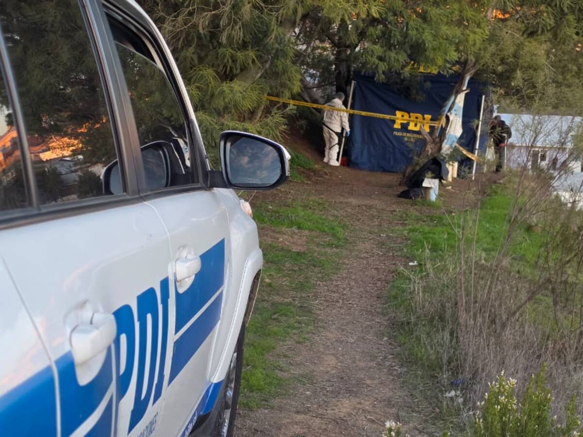 Adolescente de 17 años confesó haber matado a su amigo de 16 en Viña del Mar: tribunal amplió su detención