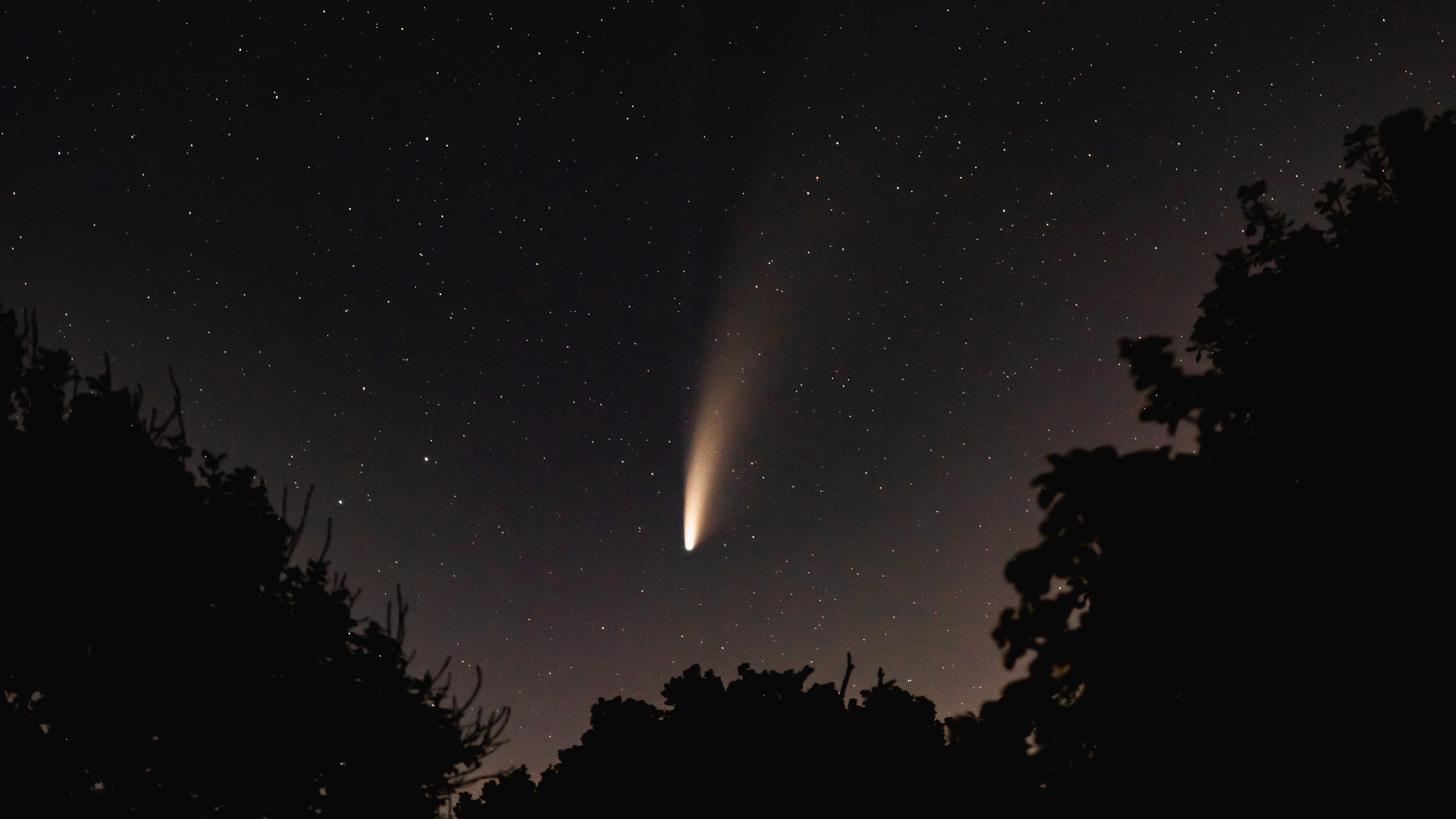 The comet Neowise as seen from a back garden in July 2020