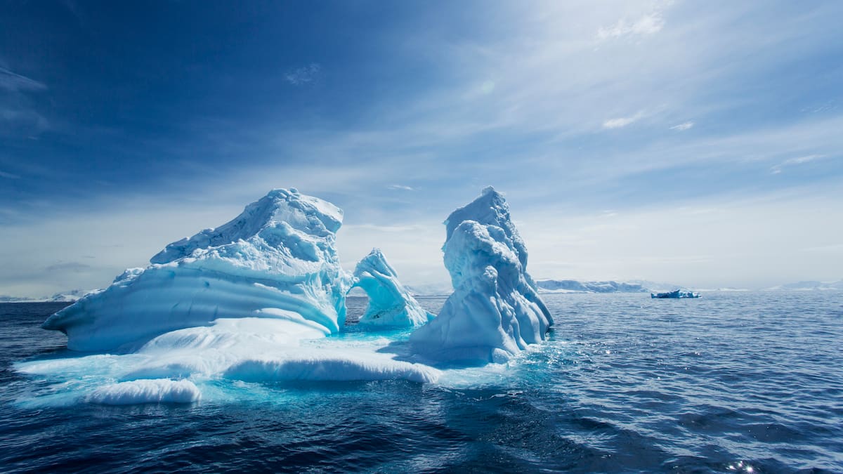 Alerta mundial por temperatura de los océanos: récord histórico de calor amenaza peligrosamente a la vida marina