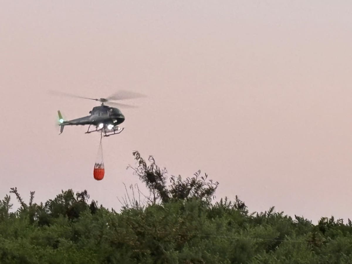 Incendio forestal en Lampa: decretan alerta roja por cercanía a zonas habitadas