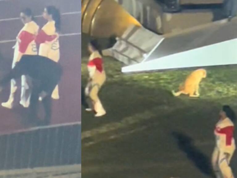 «Grita tu Rut»: perrito protagoniza divertido momento en la inauguración de Santiago 2023