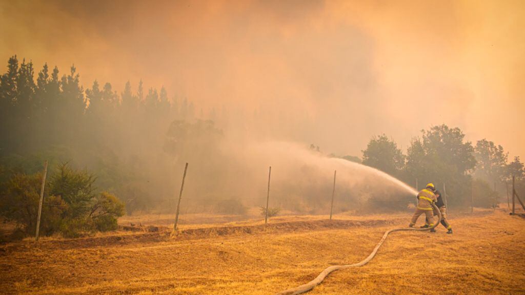 incendios forestales longaví