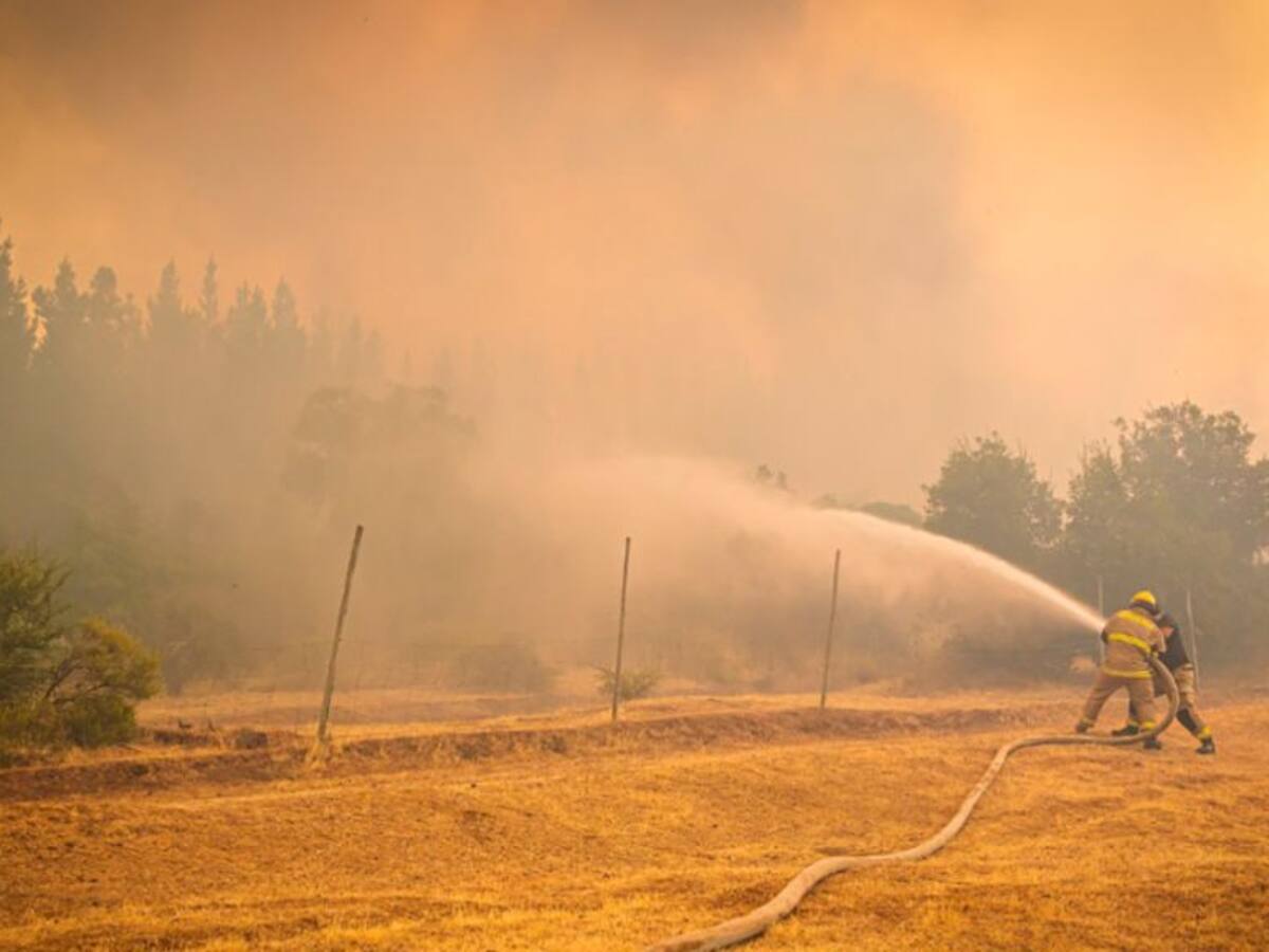 Alcalde de Longaví expresó su preocupación por los incendios forestales: «Se levantó un foco muy grande»