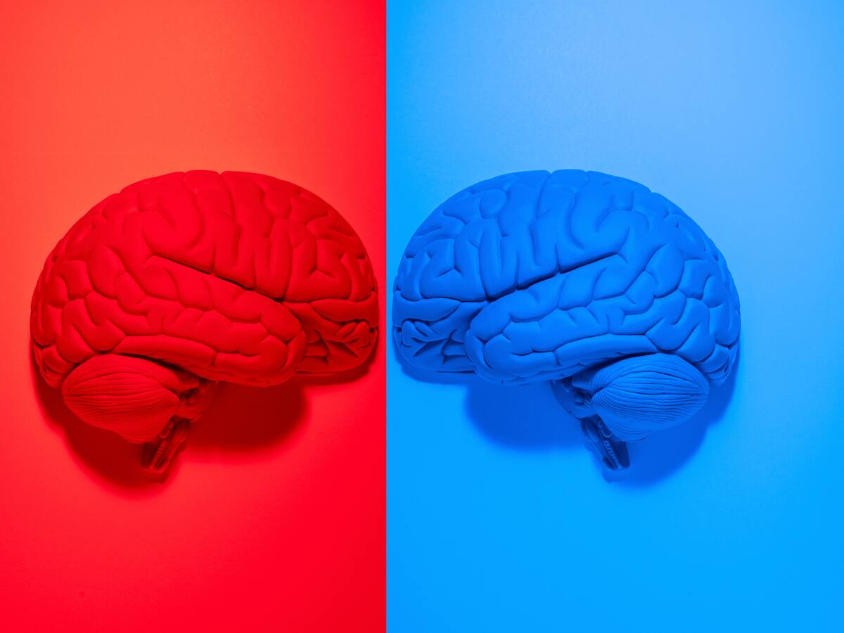 Identifican un rasgo del habla clave para la salud cerebral en adultos mayores