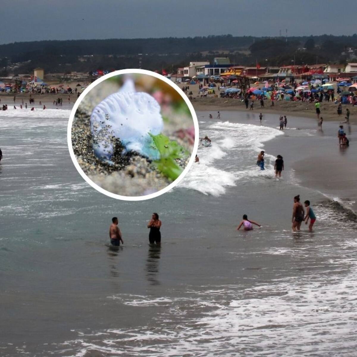 Levantan prohibición de baño en El Quisco por fragata portuguesa: sólo Concón queda con restricción