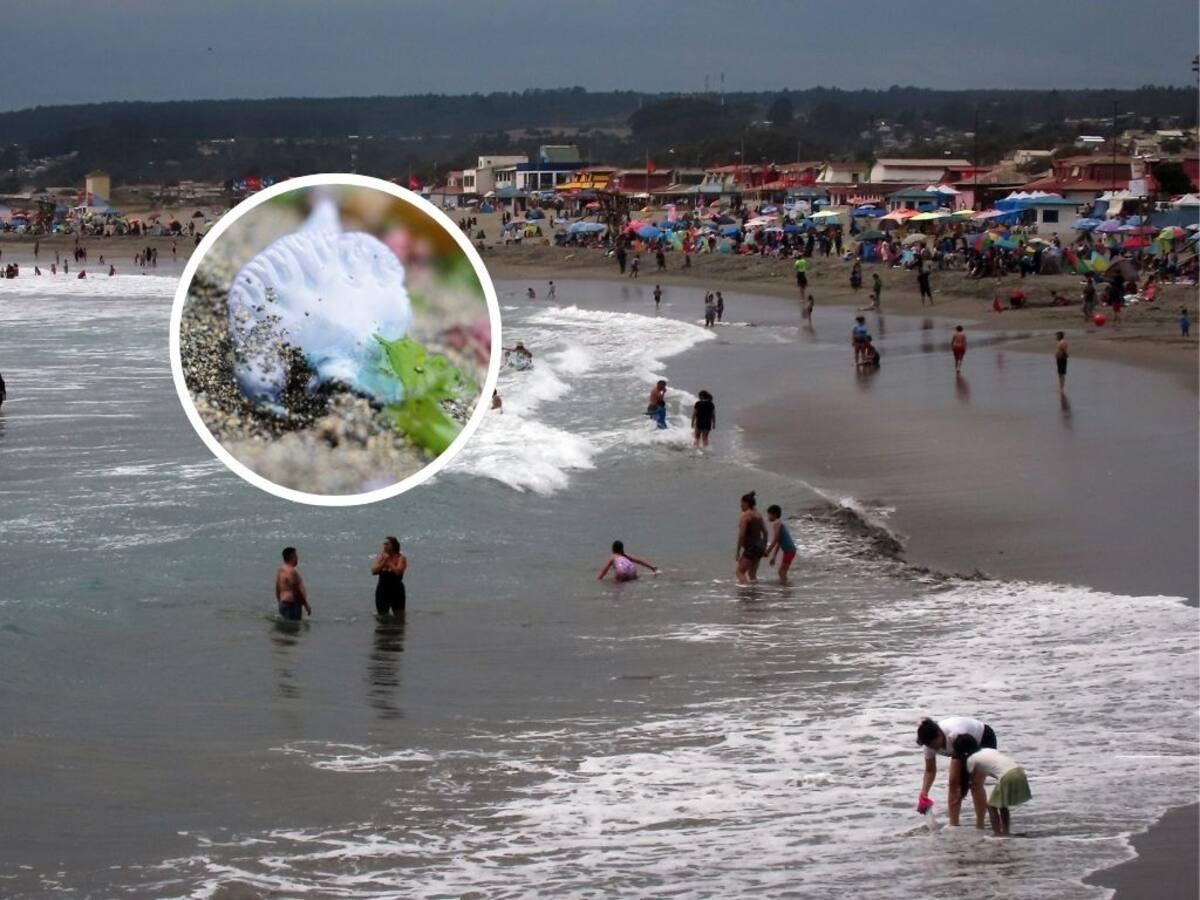 Levantan prohibición de baño en El Quisco por fragata portuguesa: sólo Concón queda con restricción