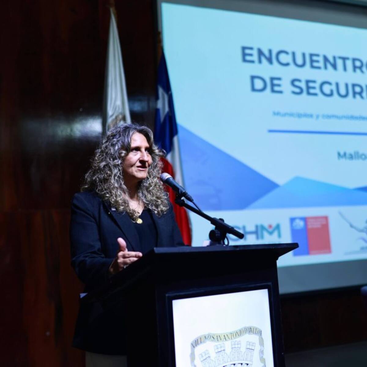 Revelan que subsecretaria de Prevención del Delito habría defendido a miembros de banda criminal